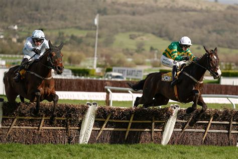 17.30 cheltenham tips|Cheltenham LIVE: Results, winners and latest updates from .